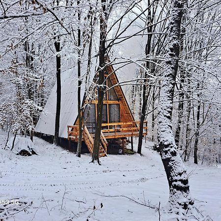 Cabanaaframe Curtea de Argeş Exterior foto