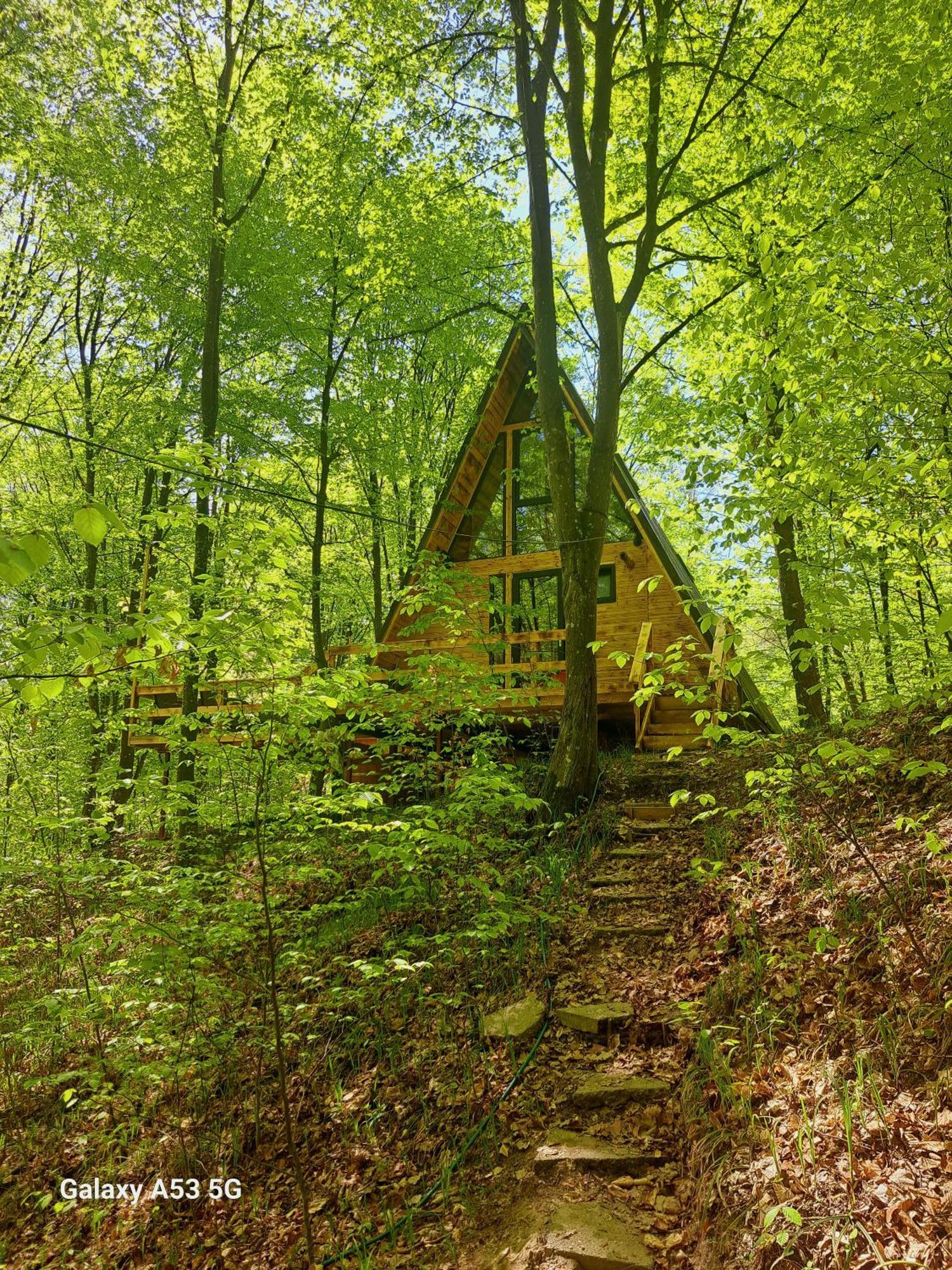 Cabanaaframe Curtea de Argeş Exterior foto